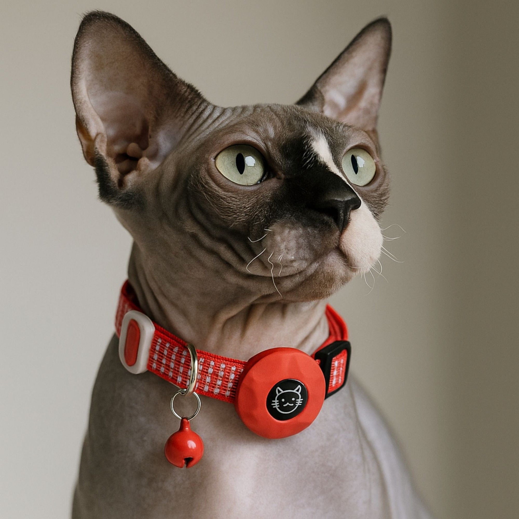 apple airtag cat collar