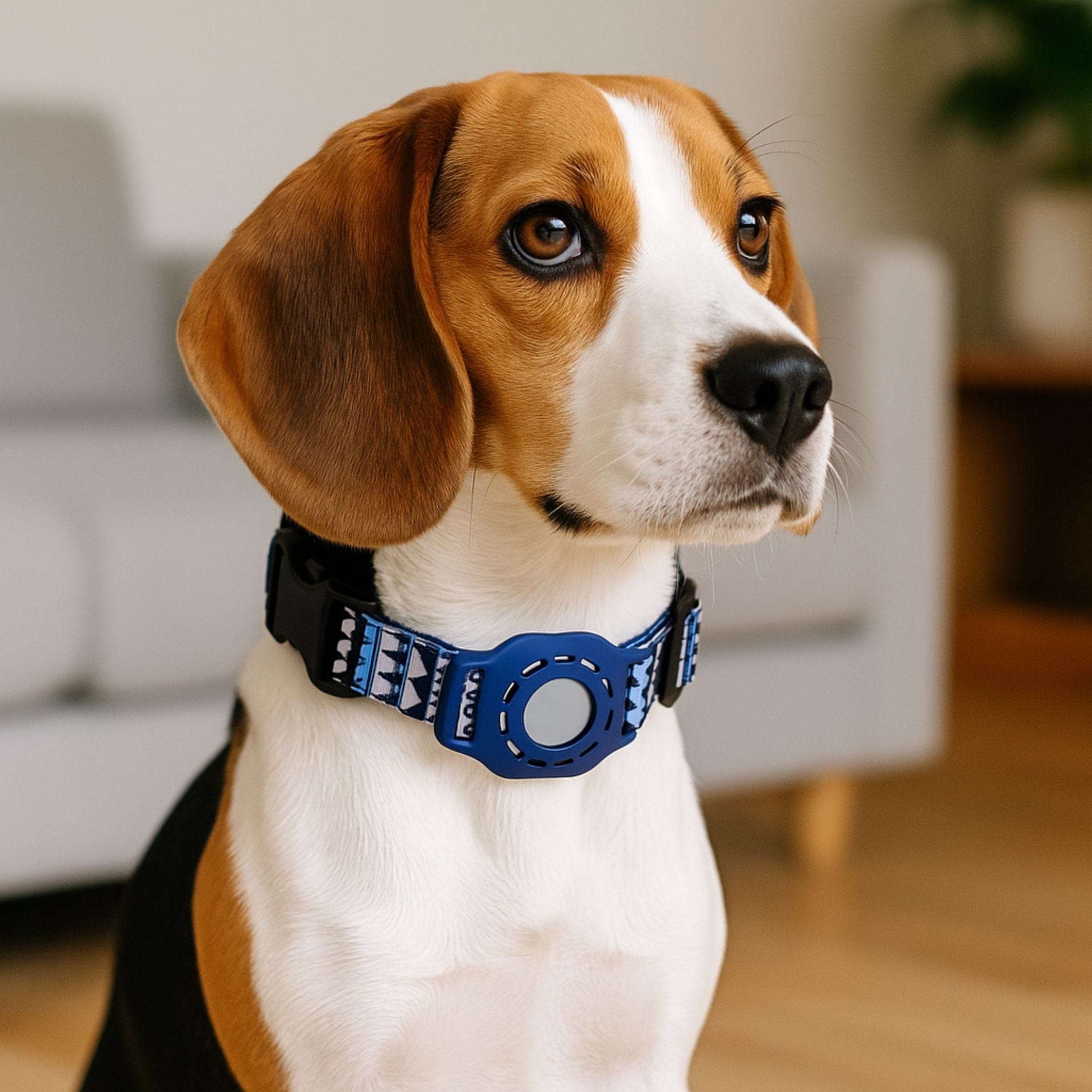 air tag for dog