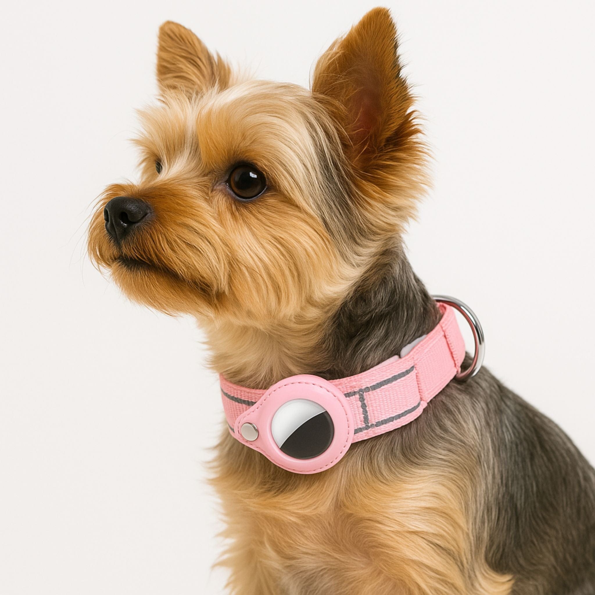 airtag dog collar holder